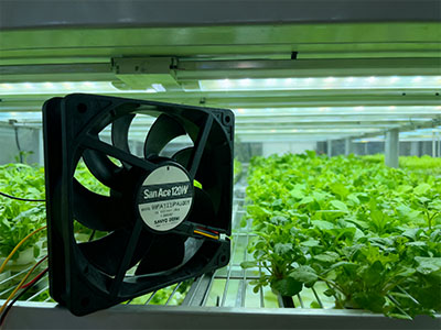 山洋San Ace散熱風扇9WPA1212P4J001在植物工廠冷藏保鮮設備的應用圖